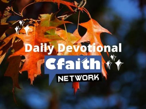 Cfaith Devotional – The Boldness of Graceful Love Cfaith Devotional – The Boldness of Graceful Love